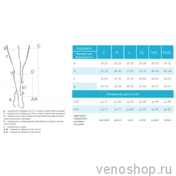 Компрессионные противоэмболические чулки VENOTEKS HOSPITAL PRO23 (2-й класс компрессии) Х0062165 фото